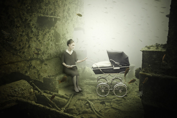 Staudinger Franke