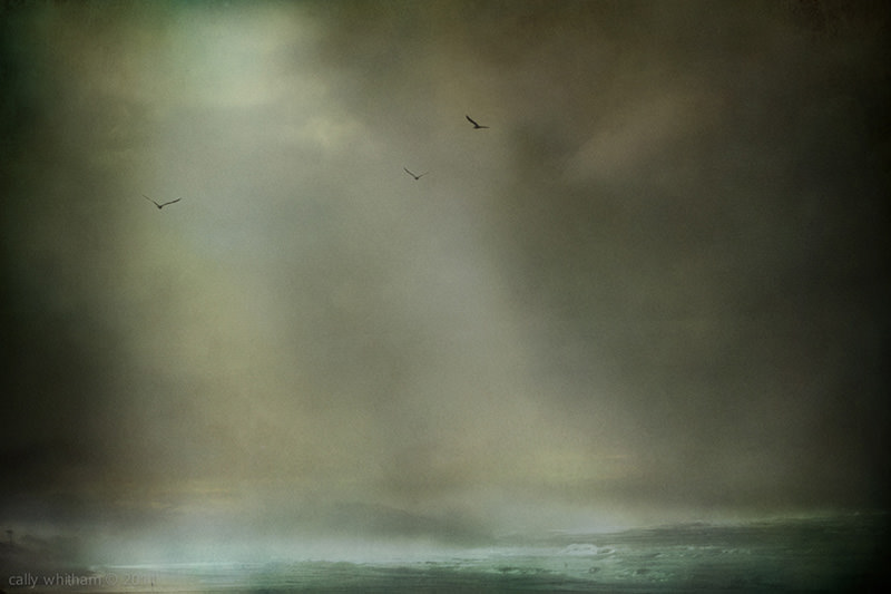 Cally Whitham