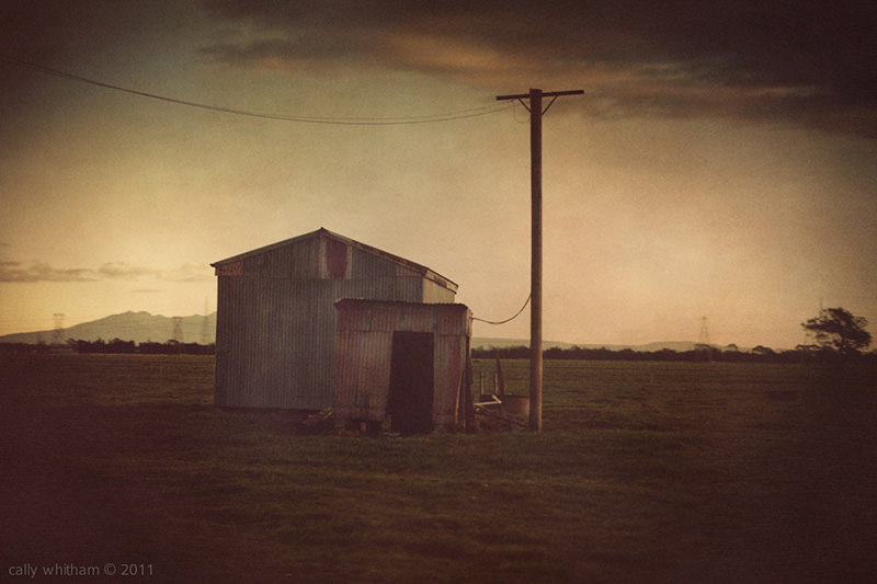 Cally Whitham