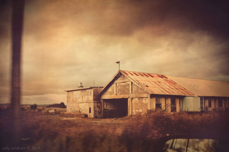 Cally Whitham