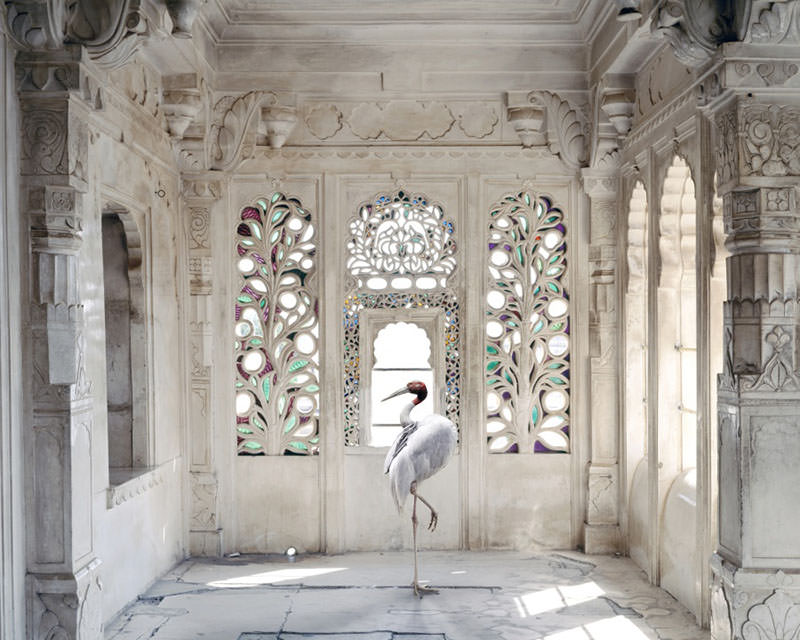 Karen Knorr