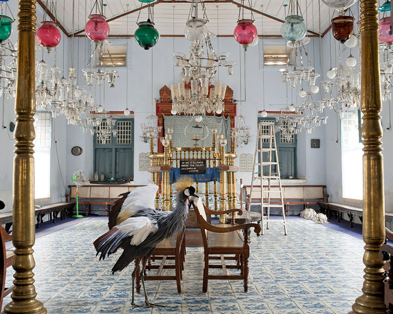 Karen Knorr