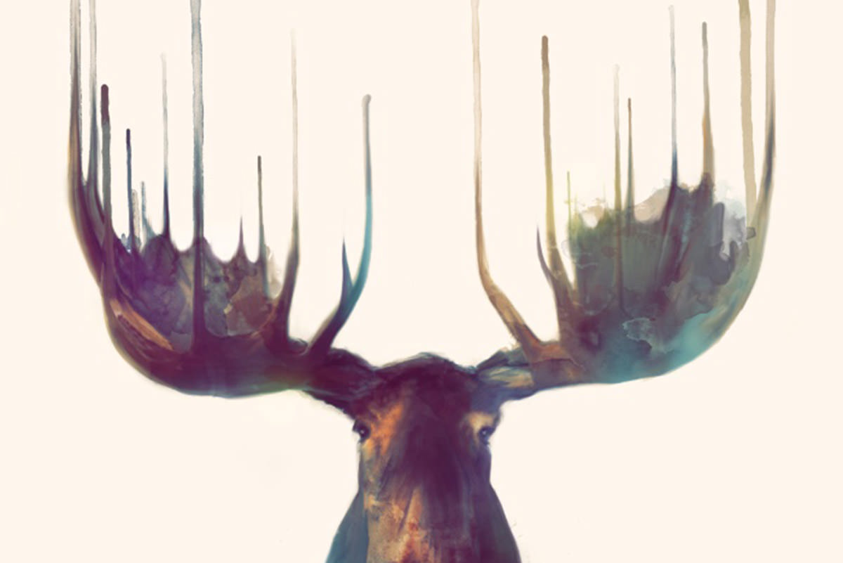 Moose by Amy Hamilton-00