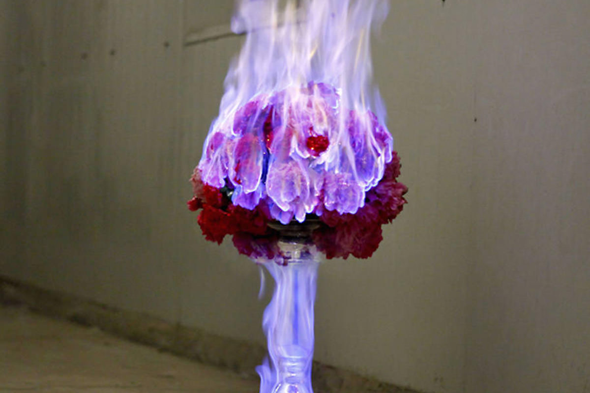 fireflowers-02