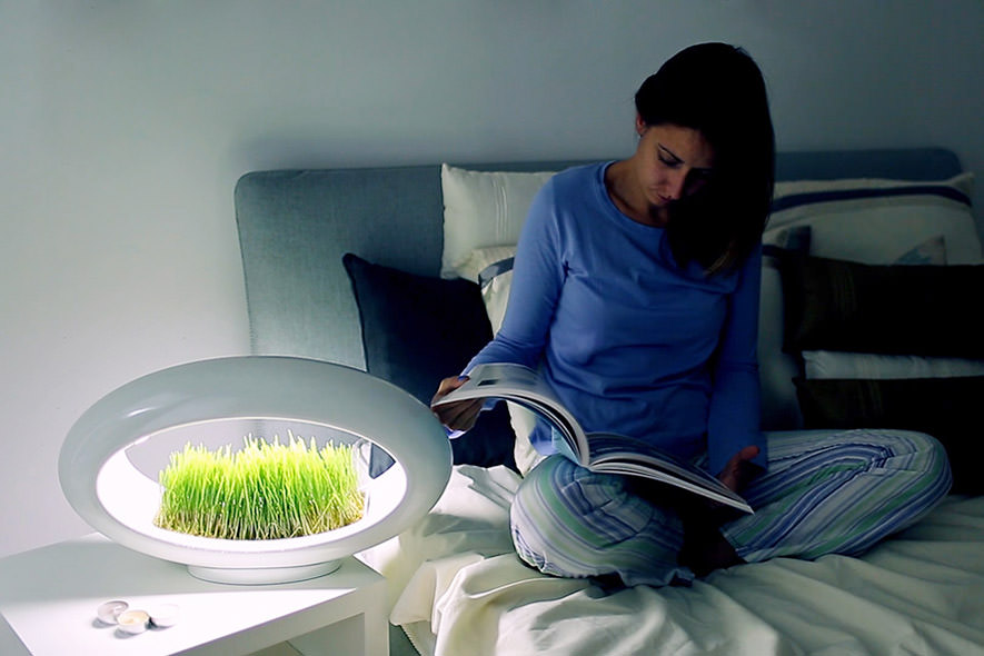 Grasslamp