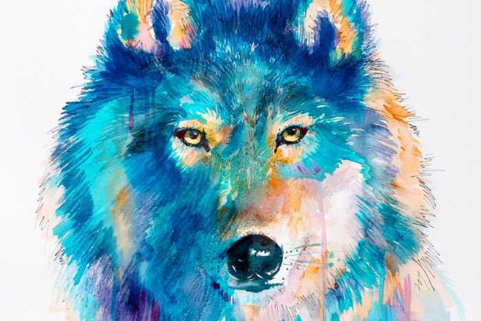 wolfff-00